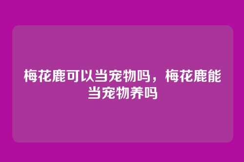 梅花鹿可以当宠物吗,梅花鹿能当宠物养吗