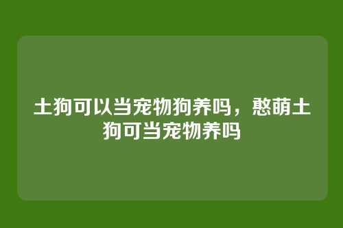 土狗可以当宠物狗养吗,憨萌土狗可当宠物养吗