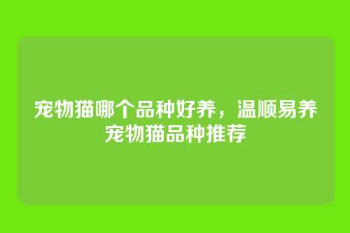 宠物猫哪个品种好养,温顺易养宠物猫品种推荐