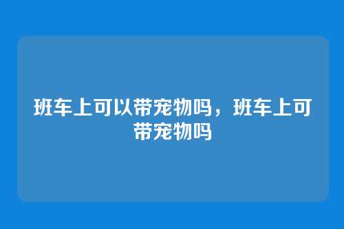 班车上可以带宠物吗,班车上可带宠物吗