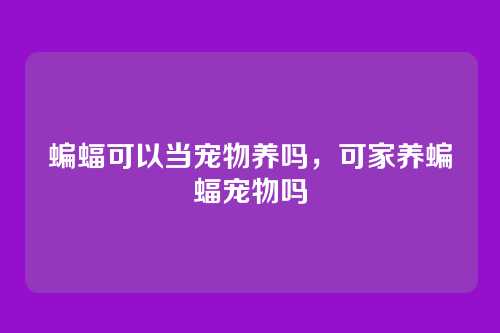 蝙蝠可以当宠物养吗，可家养蝙蝠宠物吗