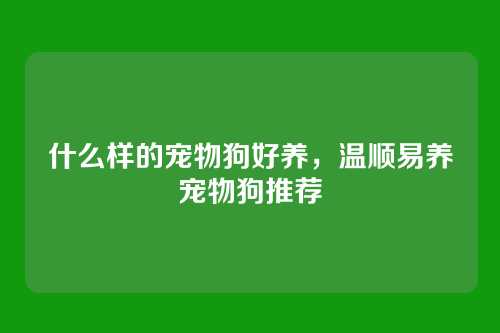 什么样的宠物狗好养,温顺易养宠物狗推荐