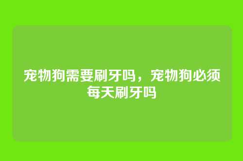 宠物狗需要刷牙吗,宠物狗必须每天刷牙吗