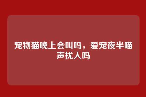 宠物猫晚上会叫吗，爱宠夜半喵声扰人吗