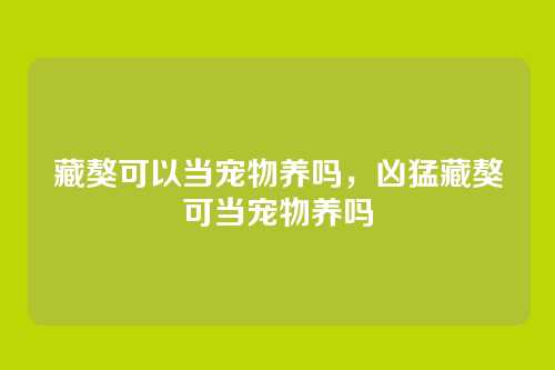 藏獒可以当宠物养吗，凶猛藏獒可当宠物养吗