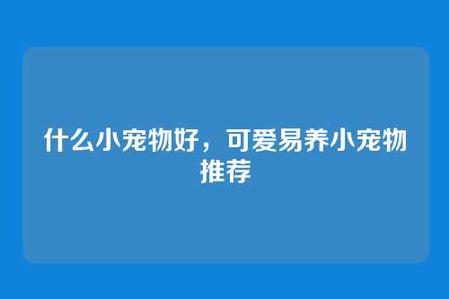 什么小宠物好，可爱易养小宠物推荐