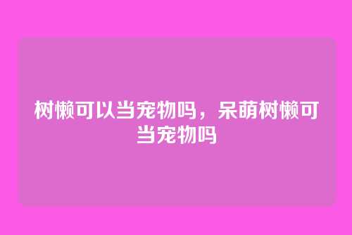 树懒可以当宠物吗,呆萌树懒可当宠物吗