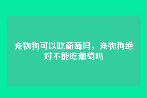 宠物狗可以吃葡萄吗,宠物狗绝对不能吃葡萄吗