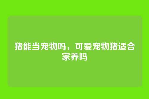 猪能当宠物吗,可爱宠物猪适合家养吗