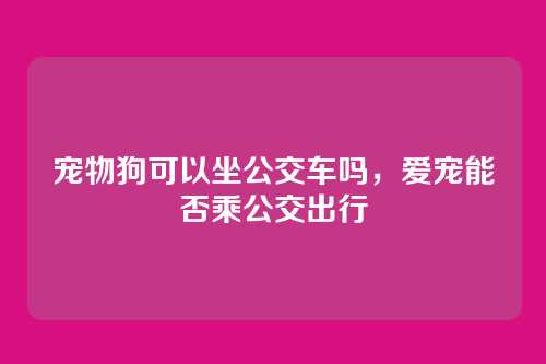 宠物狗可以坐公交车吗,爱宠能否乘公交出行