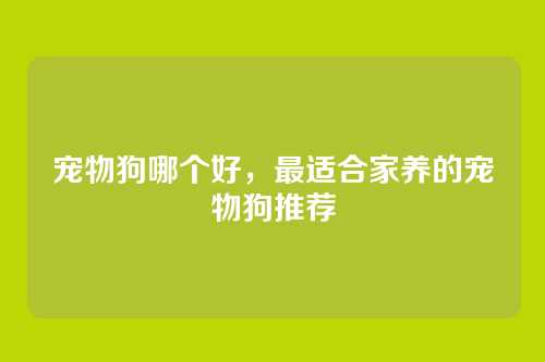 宠物狗哪个好,最适合家养的宠物狗推荐