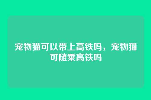 宠物猫可以带上高铁吗，宠物猫可随乘高铁吗