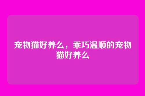 宠物猫好养么,乖巧温顺的宠物猫好养么