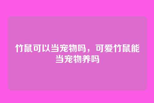 竹鼠可以当宠物吗,可爱竹鼠能当宠物养吗