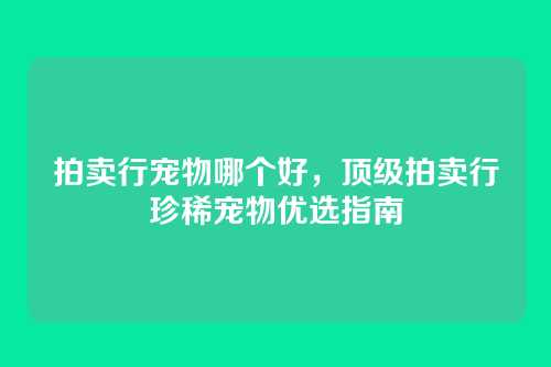 拍卖行宠物哪个好,顶级拍卖行珍稀宠物优选指南