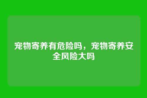 宠物寄养有危险吗,宠物寄养安全风险大吗