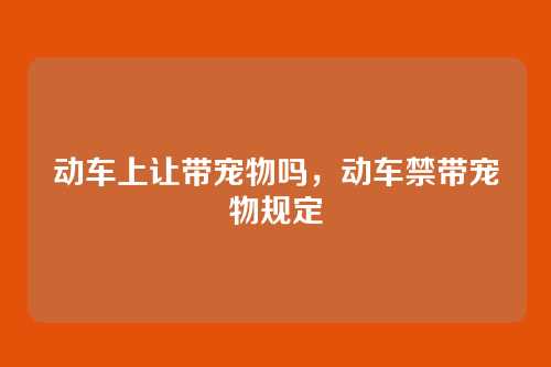 动车上让带宠物吗,动车禁带宠物规定
