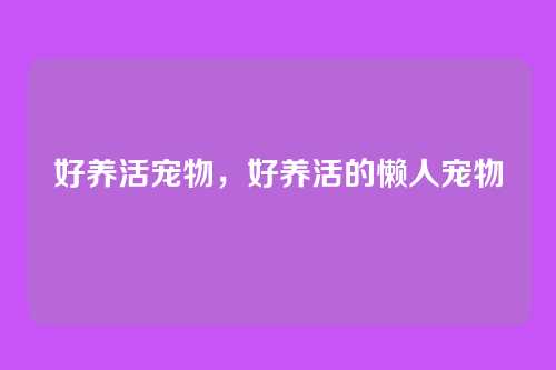好养活宠物,好养活的懒人宠物