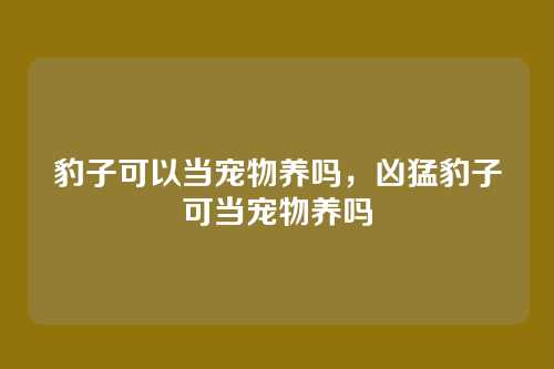 豹子可以当宠物养吗,凶猛豹子可当宠物养吗