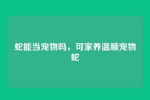 蛇能当宠物吗,可家养温顺宠物蛇