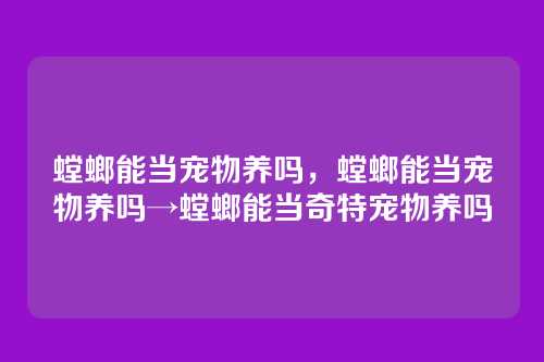 螳螂能当宠物养吗,螳螂能当宠物养吗→螳螂能当奇特宠物养吗