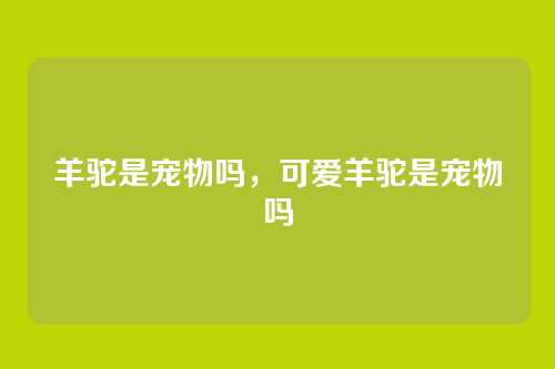 羊驼是宠物吗,可爱羊驼是宠物吗
