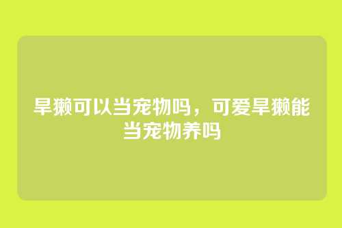 旱獭可以当宠物吗，可爱旱獭能当宠物养吗