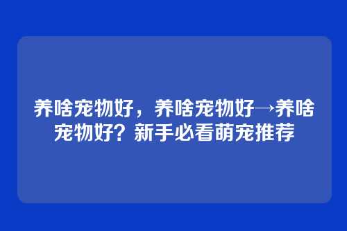 养啥宠物好，养啥宠物好→养啥宠物好？新手必看萌宠推荐