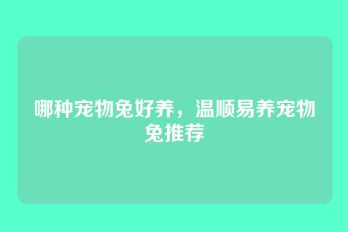 哪种宠物兔好养,温顺易养宠物兔推荐