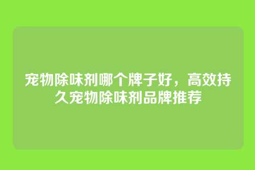 宠物除味剂哪个牌子好,高效持久宠物除味剂品牌推荐