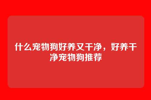 什么宠物狗好养又干净，好养干净宠物狗推荐