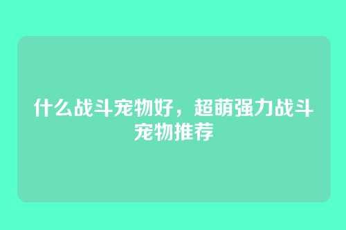 什么战斗宠物好,超萌强力战斗宠物推荐