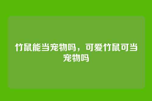 竹鼠能当宠物吗,可爱竹鼠可当宠物吗