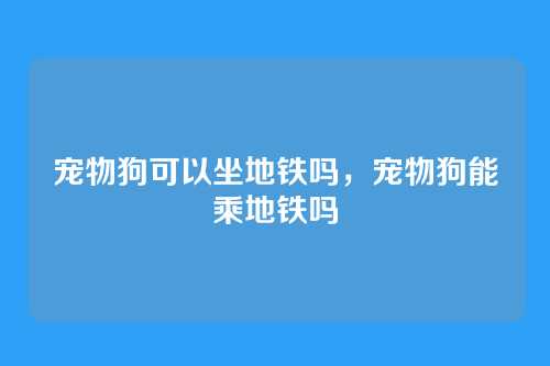 宠物狗可以坐地铁吗,宠物狗能乘地铁吗