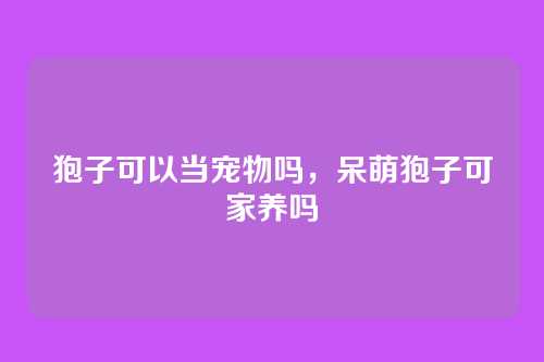 狍子可以当宠物吗,呆萌狍子可家养吗