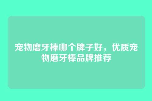 宠物磨牙棒哪个牌子好，优质宠物磨牙棒品牌推荐