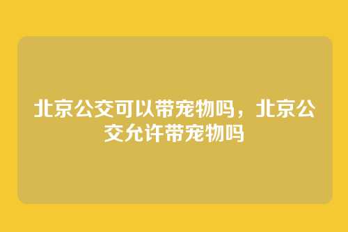 北京公交可以带宠物吗,北京公交允许带宠物吗