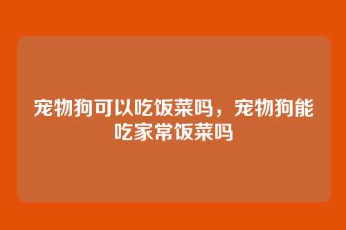 宠物狗可以吃饭菜吗,宠物狗能吃家常饭菜吗