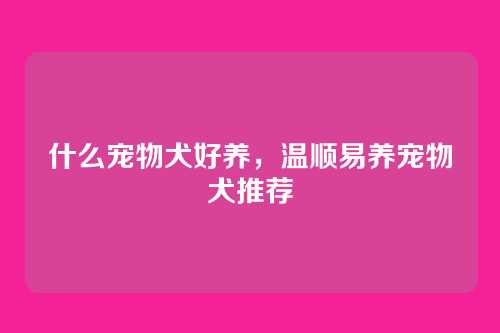 什么宠物犬好养，温顺易养宠物犬推荐