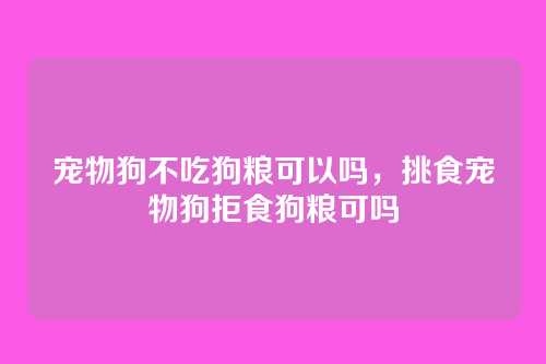 宠物狗不吃狗粮可以吗,挑食宠物狗拒食狗粮可吗