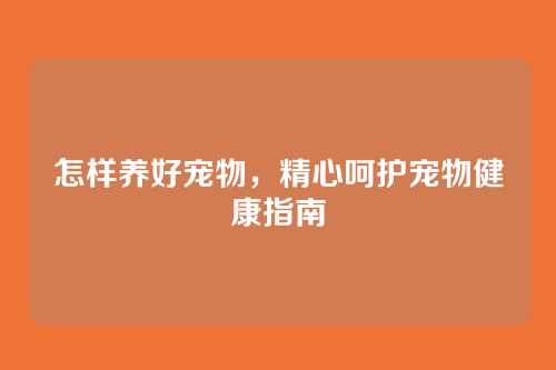 怎样养好宠物，精心呵护宠物健康指南