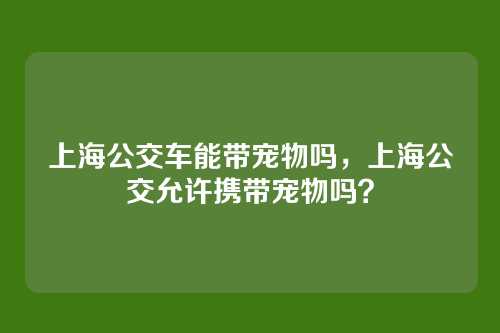 上海公交车能带宠物吗,上海公交允许携带宠物吗?