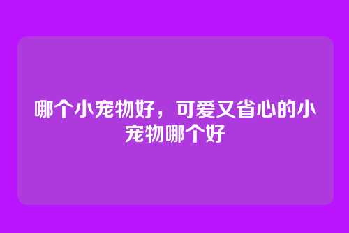 哪个小宠物好,可爱又省心的小宠物哪个好