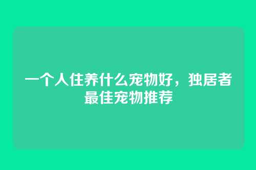 一个人住养什么宠物好,独居者最佳宠物推荐