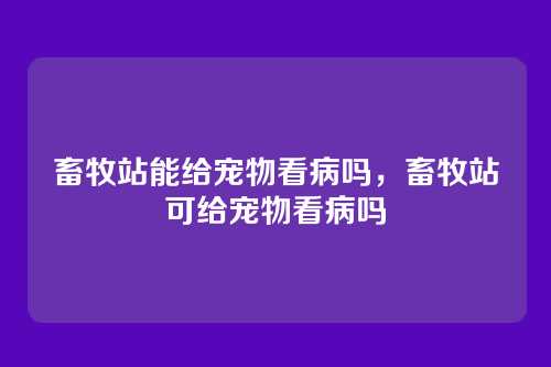 畜牧站能给宠物看病吗，畜牧站可给宠物看病吗