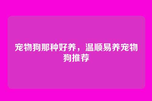 宠物狗那种好养，温顺易养宠物狗推荐