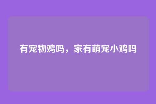 有宠物鸡吗，家有萌宠小鸡吗