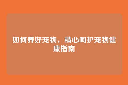 如何养好宠物,精心呵护宠物健康指南