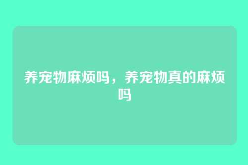养宠物麻烦吗，养宠物真的麻烦吗