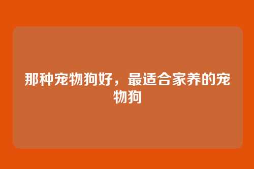 那种宠物狗好,最适合家养的宠物狗